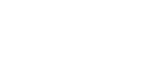 DryRun Security horizontal logo, white on dark